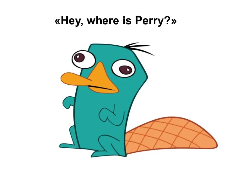 «Hey, where is Perry?»
