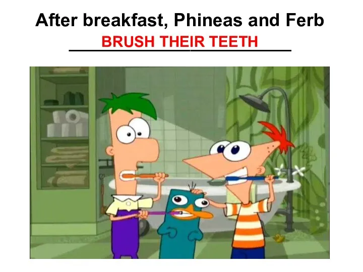 After breakfast, Phineas and Ferb ______________________ BRUSH THEIR TEETH