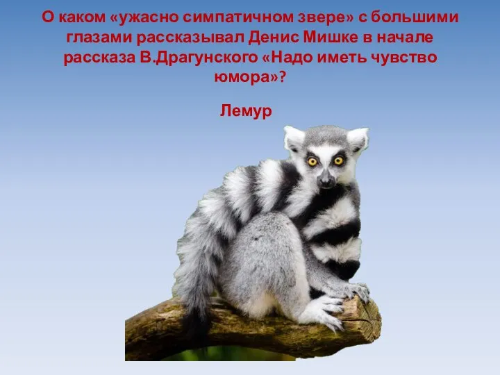 О каком «ужасно симпатичном звере» с большими глазами рассказывал Денис Мишке в