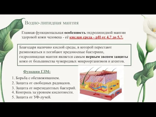 Водно-липидная мантия Главная функциональная особенность гидролипидной мантии здоровой кожи человека - её