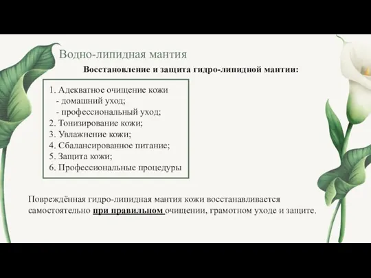 Водно-липидная мантия Повреждённая гидро-липидная мантия кожи восстанавливается самостоятельно при правильном очищении, грамотном