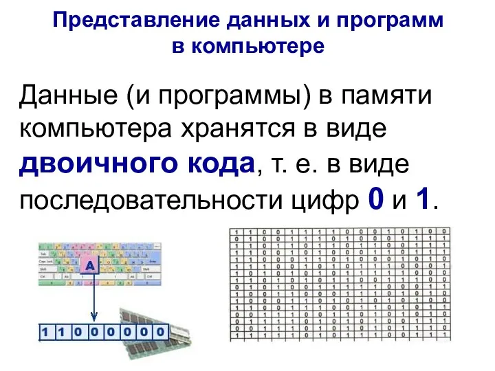 Данные (и программы) в памяти компьютера хранятся в виде двоичного кода, т.