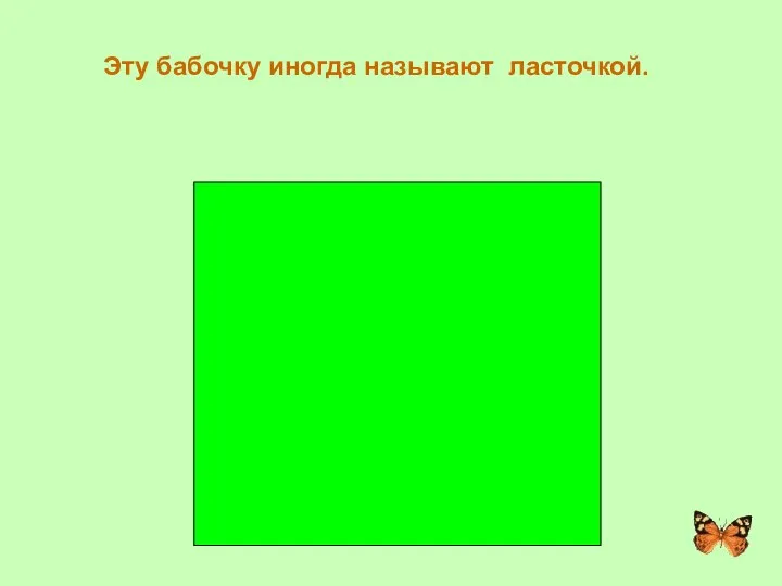 Эту бабочку иногда называют ласточкой. ПОДАЛИРИЙ