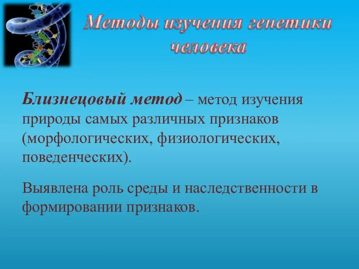 Близнецовый метод – метод изучения природы самых различных признаков (морфологических, физиологических, поведенческих).