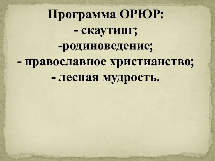 Программа ОРЮР: - скаутинг; -родиноведение; - православное христианство; - лесная мудрость.