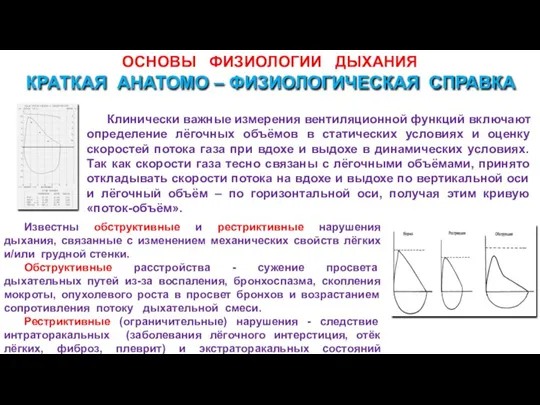 ОСНОВЫ ФИЗИОЛОГИИ ДЫХАНИЯ Клинически важные измерения вентиляционной функций включают определение лёгочных объёмов