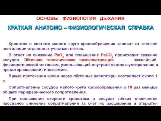 ОСНОВЫ ФИЗИОЛОГИИ ДЫХАНИЯ Кровоток в системе малого круга кровообращения зависит от степени