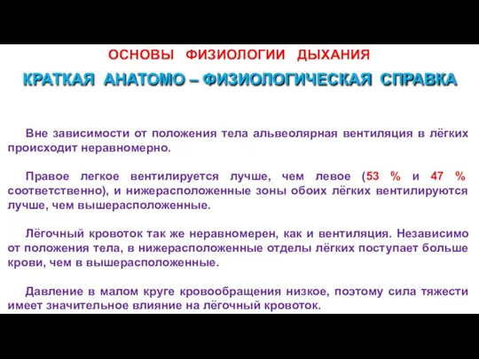 ОСНОВЫ ФИЗИОЛОГИИ ДЫХАНИЯ Вне зависимости от положения тела альвеолярная вентиляция в лёгких