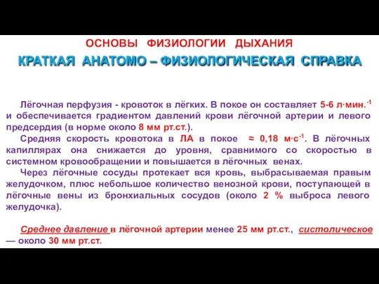 ОСНОВЫ ФИЗИОЛОГИИ ДЫХАНИЯ Лёгочная перфузия - кровоток в лёгких. В покое он