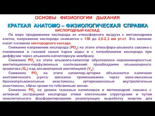 ОСНОВЫ ФИЗИОЛОГИИ ДЫХАНИЯ КИСЛОРОДНЫЙ КАСКАД. По мере продвижения кислорода из атмосферного воздуха