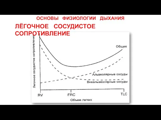 ОСНОВЫ ФИЗИОЛОГИИ ДЫХАНИЯ ЛЁГОЧНОЕ СОСУДИСТОЕ СОПРОТИВЛЕНИЕ