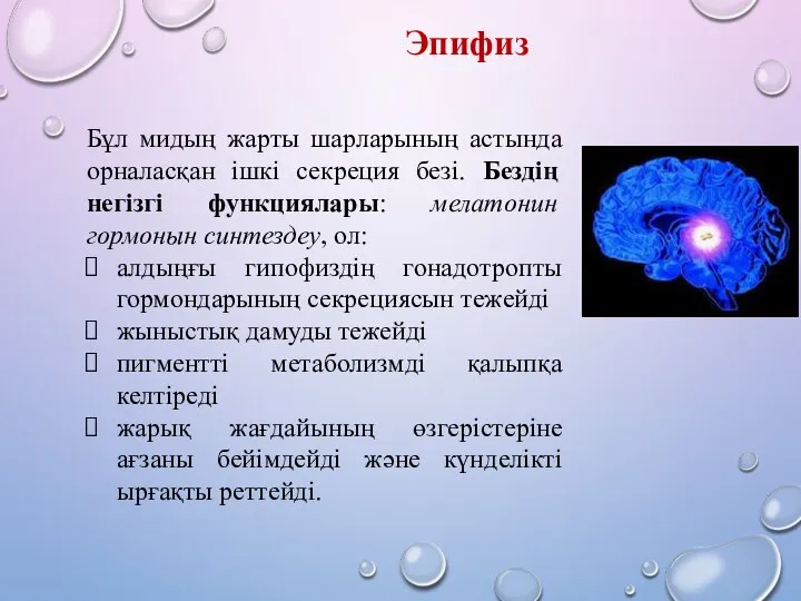 Бұл мидың жарты шарларының астында орналасқан ішкі секреция безі. Бездің негізгі функциялары: