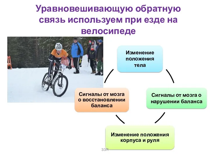 Уравновешивающую обратную связь используем при езде на велосипеде ЗЗЯ