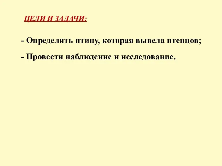 ЦЕЛИ И ЗАДАЧИ: Определить птицу, которая вывела птенцов; Провести наблюдение и исследование.