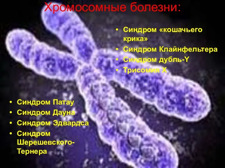 Хромосомные болезни: Синдром Патау Синдром Дауна Синдром Эдвардса Синдром Шерешевского-Тернера Синдром «кошачьего