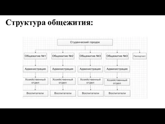 Структура общежития: