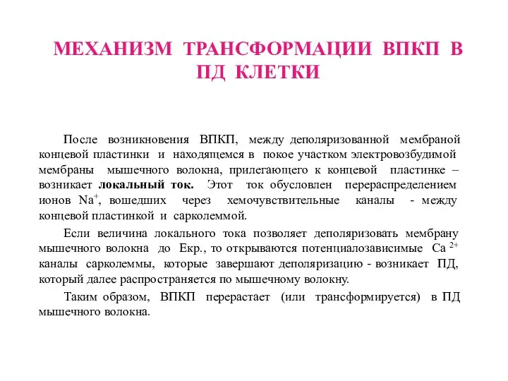 МЕХАНИЗМ ТРАНСФОРМАЦИИ ВПКП В ПД КЛЕТКИ После возникновения ВПКП, между деполяризованной мембраной