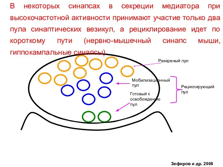 Готовый к освобождению пул Мобилизационный пул Рециклирующий пул Резервный пул В некоторых