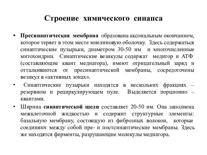 Строение химического синапса Пресинаптическая мембрана образована аксональным окончанием, которое теряет в этом