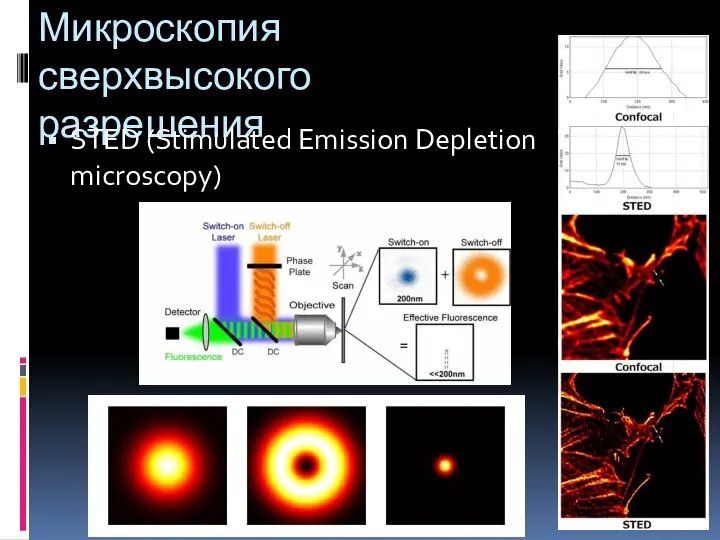 Микроскопия сверхвысокого разрешения STED (Stimulated Emission Depletion microscopy)