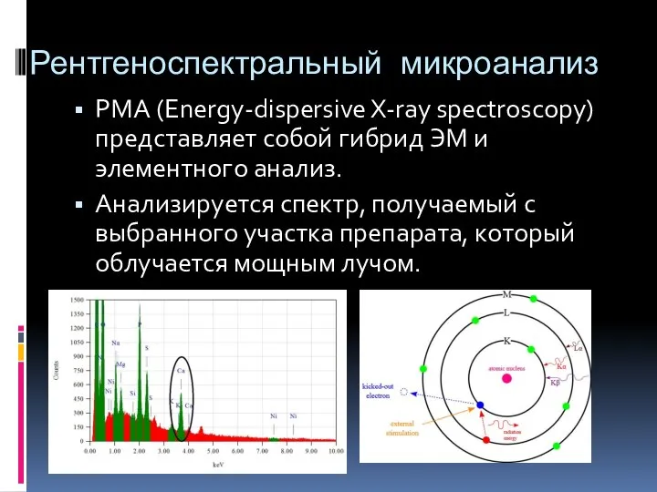 Рентгеноспектральный микроанализ РМА (Energy-dispersive X-ray spectroscopy) представляет собой гибрид ЭМ и элементного