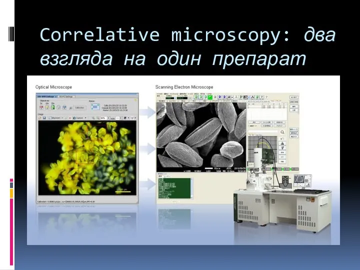 Correlative microscopy: два взгляда на один препарат