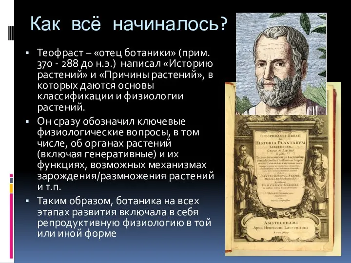 Как всё начиналось? Теофраст – «отец ботаники» (прим. 370 - 288 до