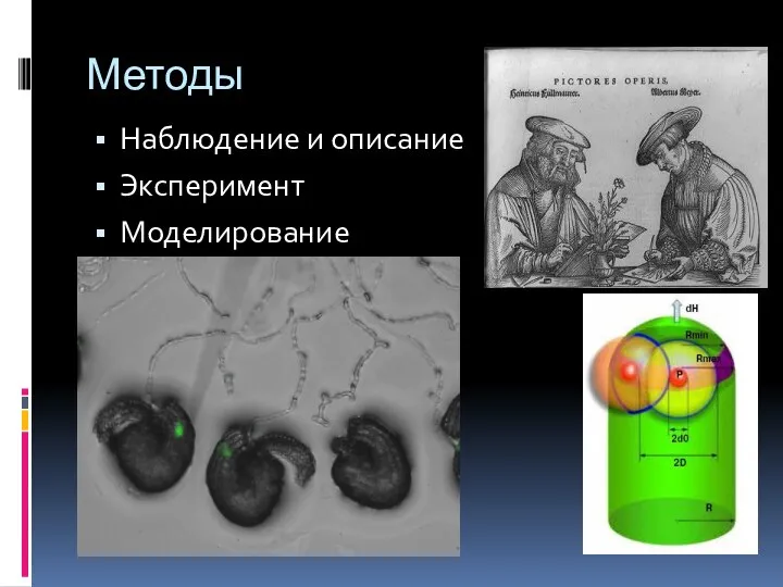 Методы Наблюдение и описание Эксперимент Моделирование