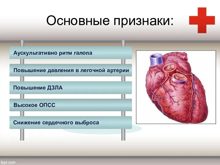 Основные признаки: