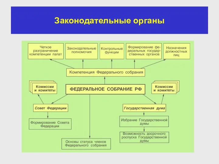 Законодательные органы