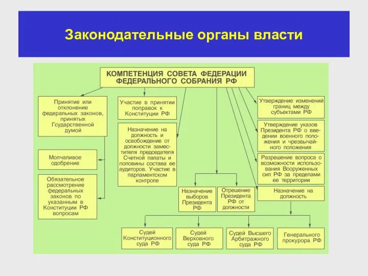 Законодательные органы власти