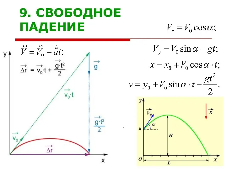 9. СВОБОДНОЕ ПАДЕНИЕ