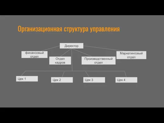 Организационная структура управления Директор Маркетинговый отдел Производственный отдел Отдел кадров финансовый отдел