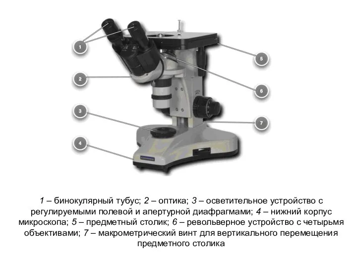 1 – бинокулярный тубус; 2 – оптика; 3 – осветительное устройство с