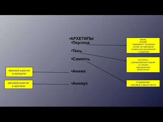 АРХЕТИПЫ Персона Тень Самость Анима Анимус Стремление человека к целостности инстинкты, унаследованные