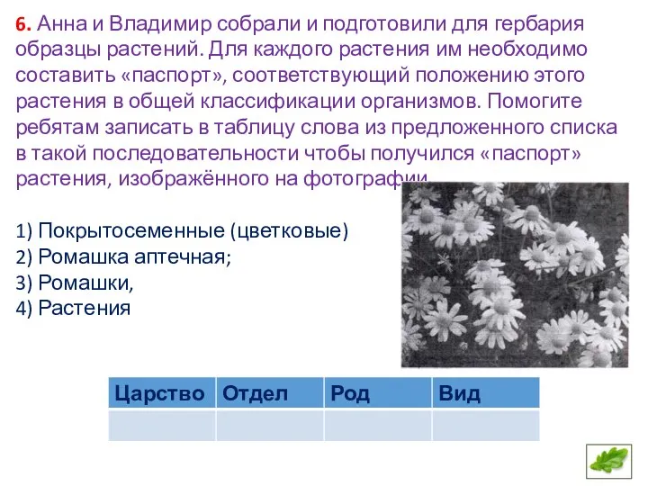 6. Анна и Владимир собрали и подготовили для гербария образцы растений. Для