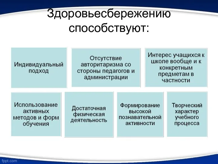 Здоровьесбережению способствуют: