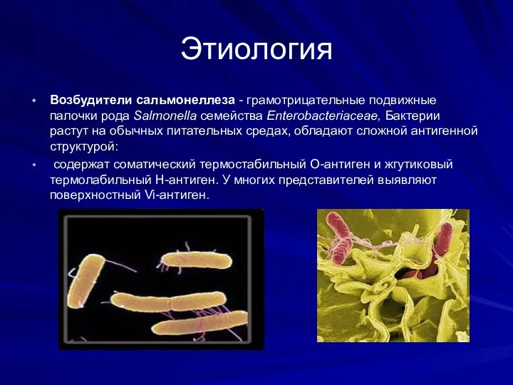 Этиология Возбудители сальмонеллеза - грамотрицательные подвижные палочки рода Salmonella семейства Enterobacteriaceae, Бактерии
