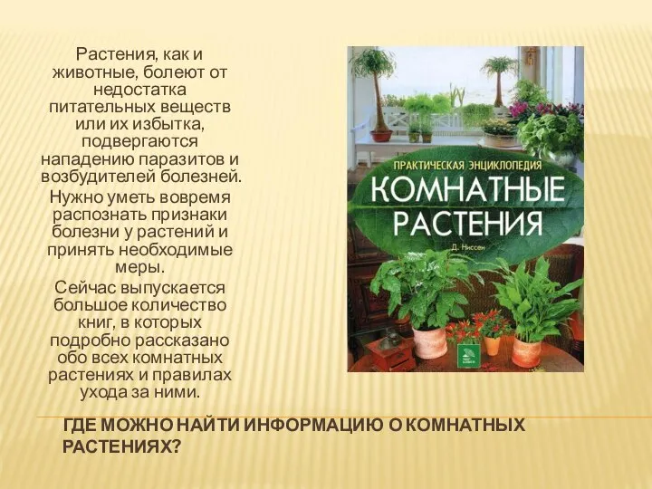 ГДЕ МОЖНО НАЙТИ ИНФОРМАЦИЮ О КОМНАТНЫХ РАСТЕНИЯХ? Растения, как и животные, болеют