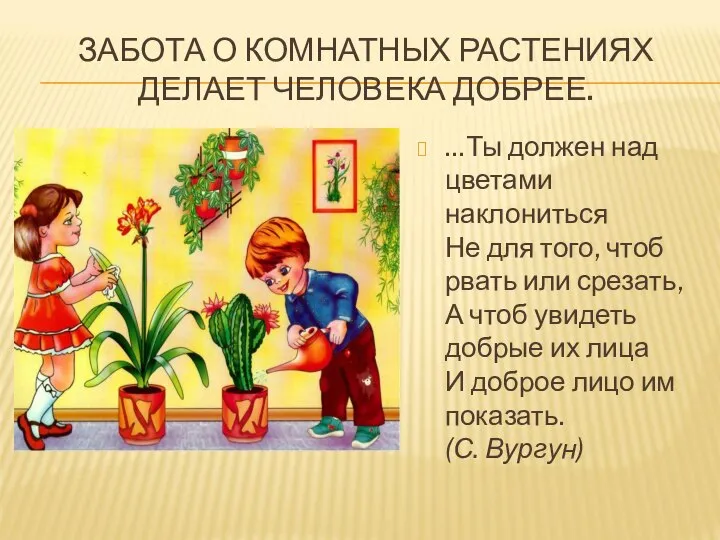 ЗАБОТА О КОМНАТНЫХ РАСТЕНИЯХ ДЕЛАЕТ ЧЕЛОВЕКА ДОБРЕЕ. …Ты должен над цветами наклониться