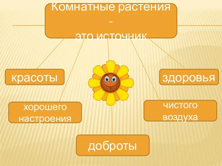 Комнатные растения - это источник красоты здоровья хорошего настроения доброты чистого воздуха