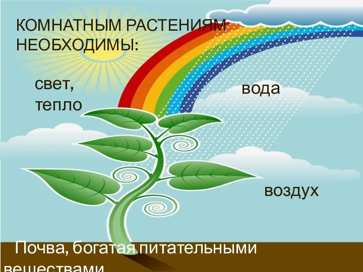 КОМНАТНЫМ РАСТЕНИЯМ НЕОБХОДИМЫ: свет, тепло Почва, богатая питательными веществами вода воздух