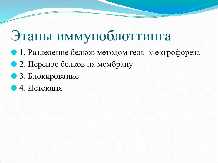 Этапы иммуноблоттинга 1. Разделение белков методом гель-электрофореза 2. Перенос белков на мембрану 3. Блокирование 4. Детекция