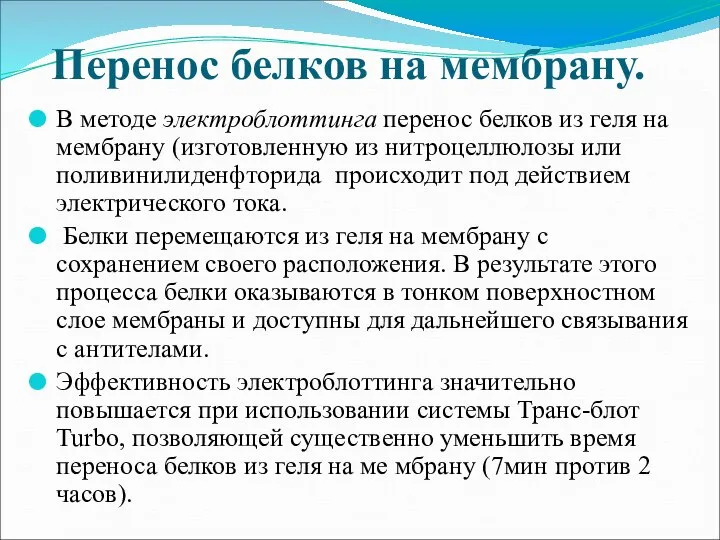 Перенос белков на мембрану. В методе электроблоттинга перенос белков из геля на