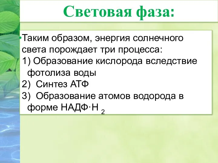 Таким образом, энергия солнечного света порождает три процесса: 1) Образование кислорода вследствие