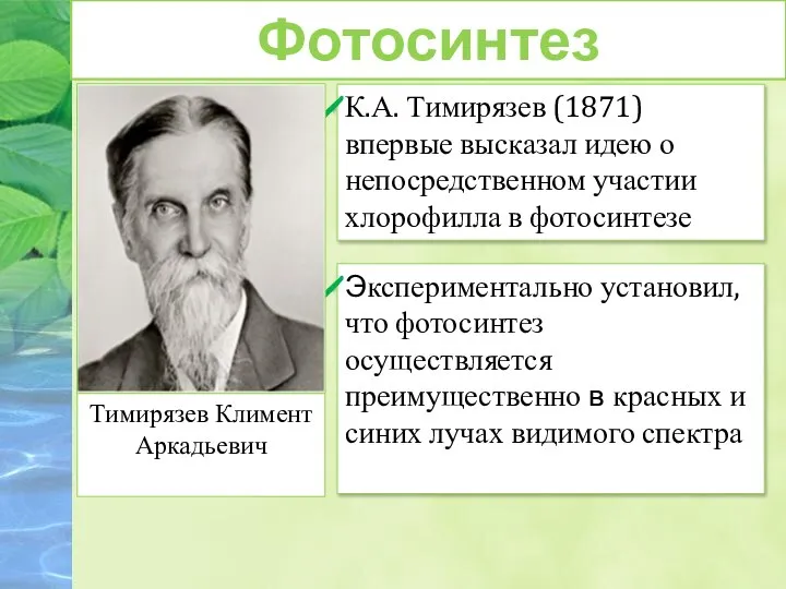 Фотосинтез К.А. Тимирязев (1871) впервые высказал идею о непосредственном участии хлорофилла в