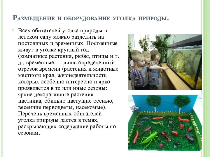 Размещение и оборудование уголка природы. Всех обитателей уголка природы в детском саду