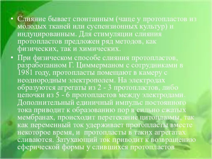 Слияние бывает спонтанным (чаще у протопластов из молодых тканей или суспензионных культур)