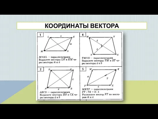 КООРДИНАТЫ ВЕКТОРА