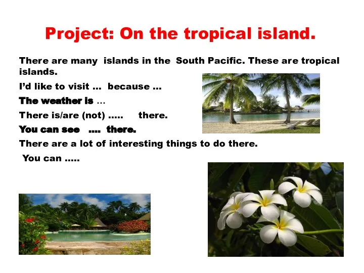 Project: On the tropical island. I’d like to visit … because …